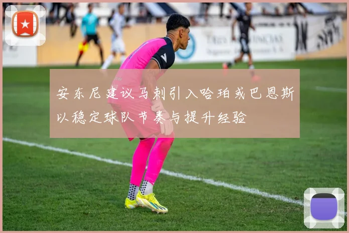 安东尼建议马刺引入哈珀或巴恩斯以稳定球队节奏与提升经验